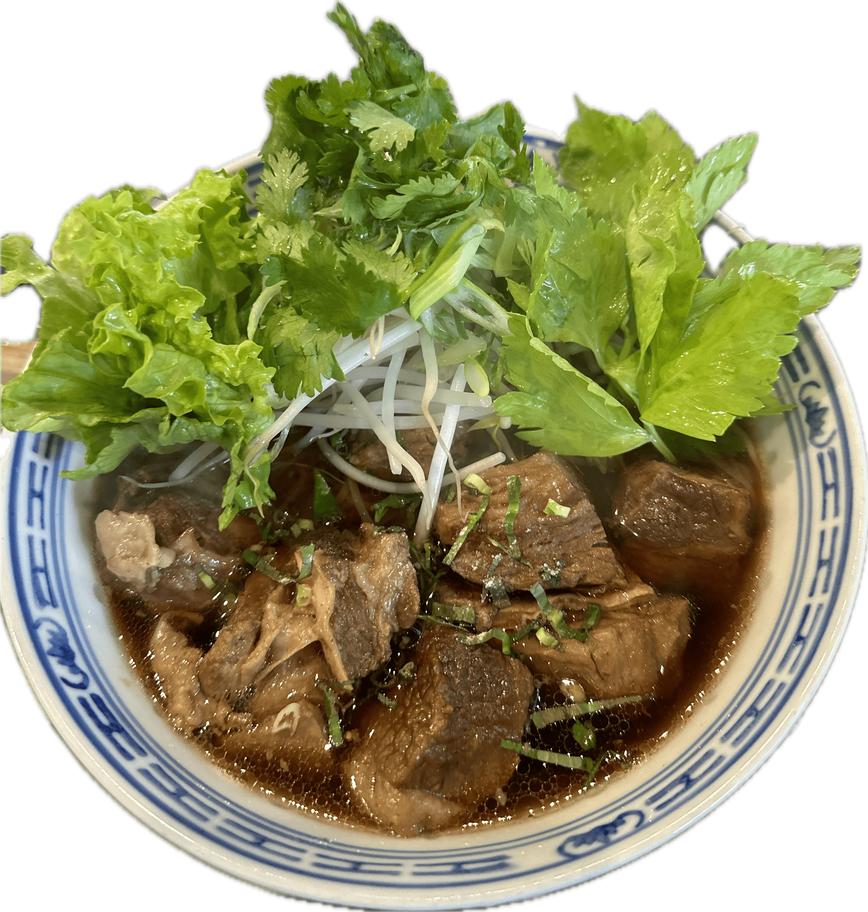 Braised Beef Noodles