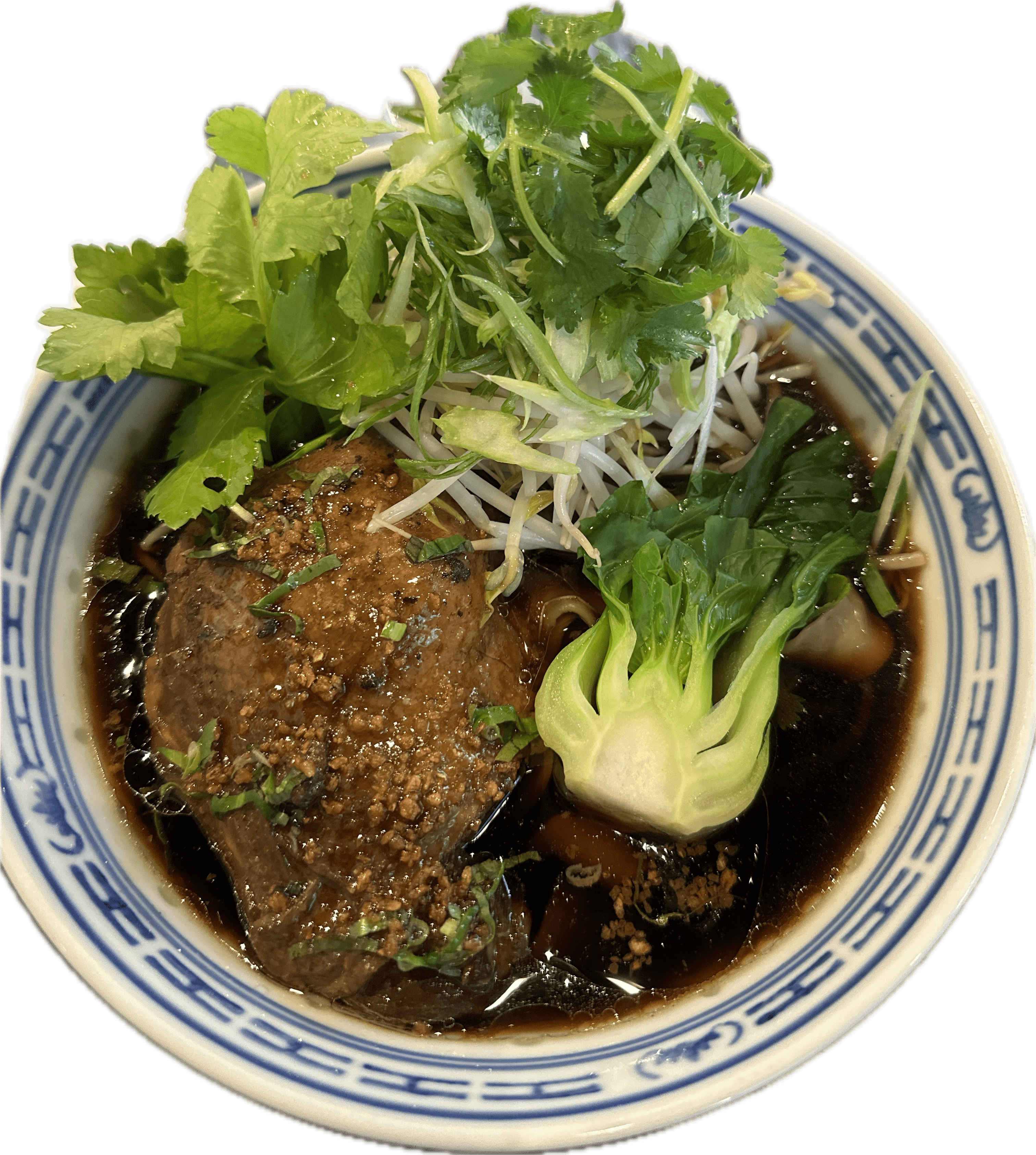 Braised Duck Noodles