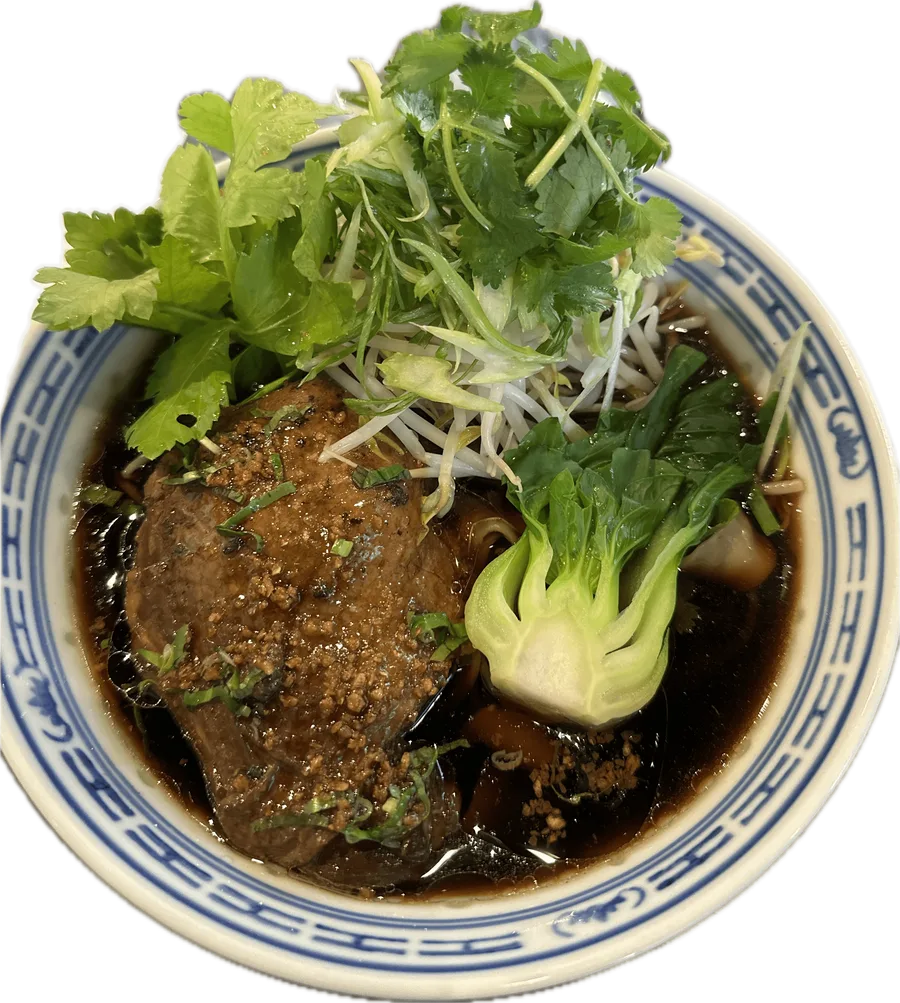 Braised Duck Noodles